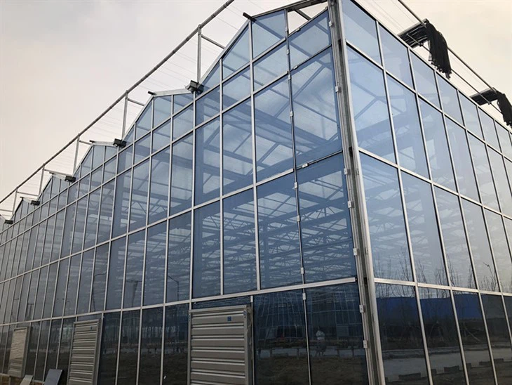 Small-Scale Glass Greenhouse