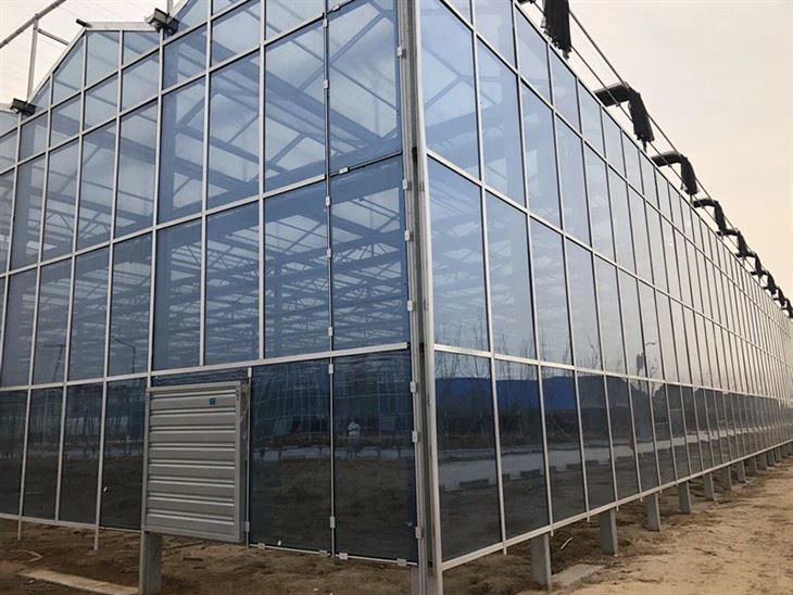 Single-Span Glass Greenhouse