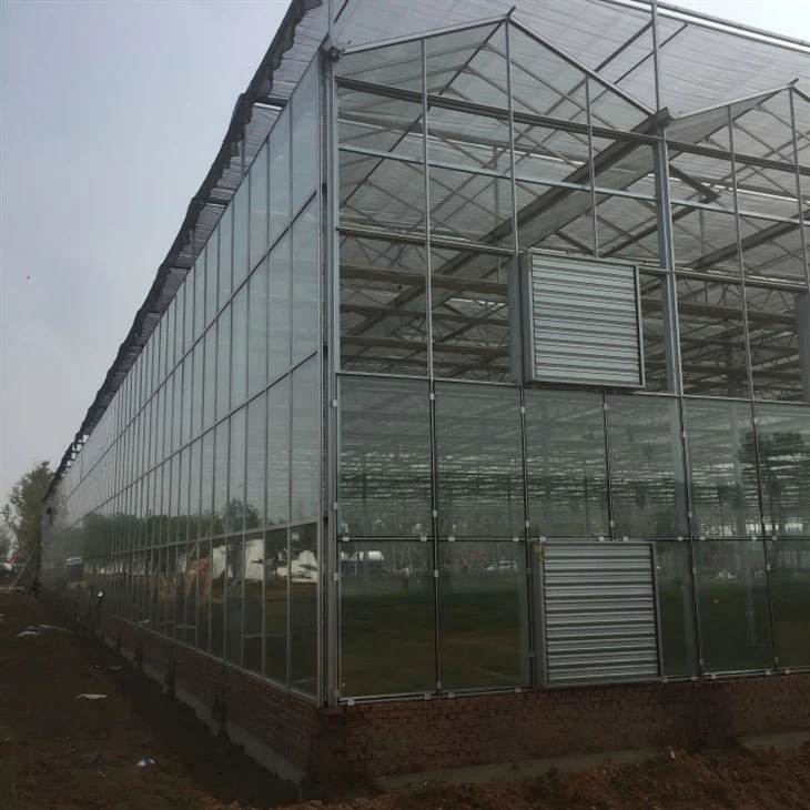 Venlo Glass Greenhouse suppliers