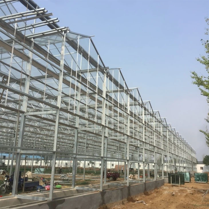 Venlo Glass Greenhouse factory