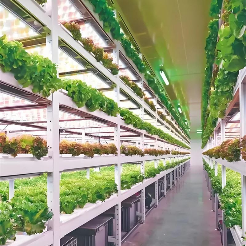 Greenhouse Container Growing System