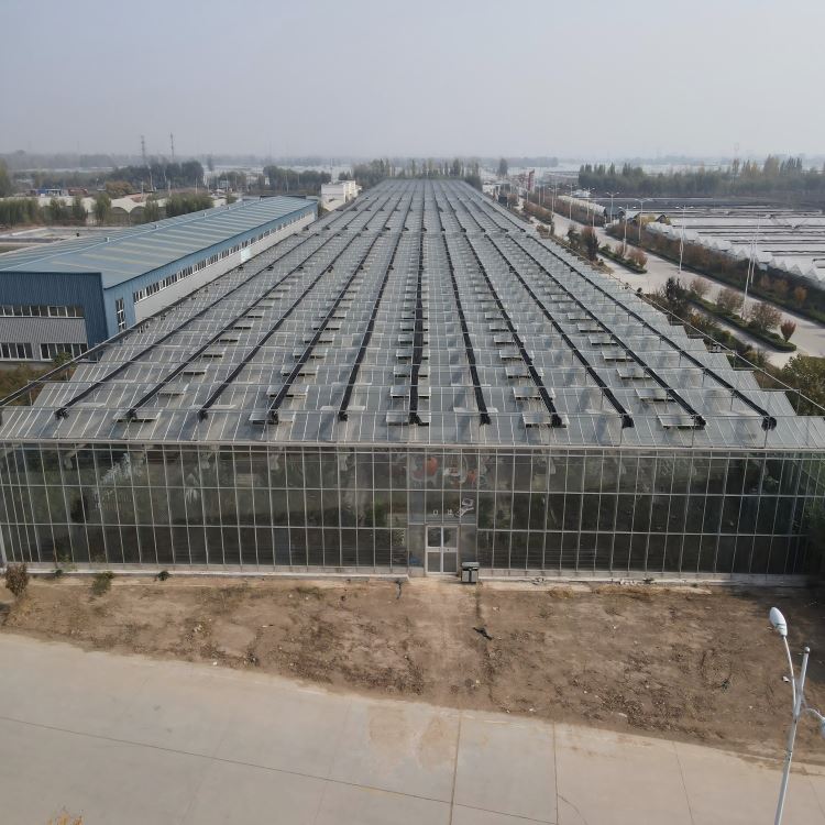 Large Greenhouse Frame